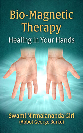 Bio-Magnetic Therapy