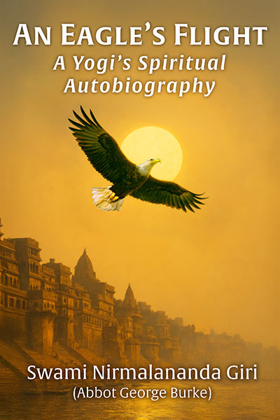An Eagle's Flight cover