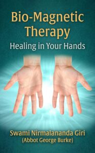 Cover of Bio-Magnetic Therapy