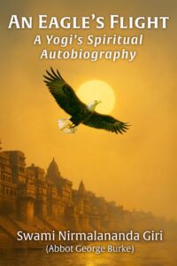 Cover of An Eagle’s Flight